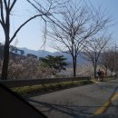 물금농협 원동지점 이미지