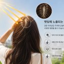 시온뷰티케어 - 593 | 한여름 두피도 자외선을 받습니다! 모공과 두피 건강을 지키는 여름철 관리법