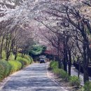 백야자연휴양림 이미지