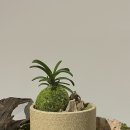 [10/25]가드닝 클래스 이미지