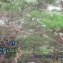 It's Too Late Carole King Cover 이미지