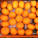 가영농장 이미지