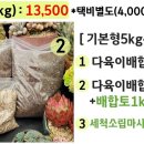 진토베기 이미지