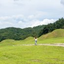 성주성산동고분군전시관 | 성주 성산동 고분군 전시관/ 가야시대 지배층의 무덤과 삶을 체험해 볼 수 있는 곳(+실내 어린이놀이터)