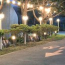 정성춘천닭갈비 이미지