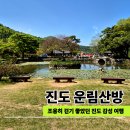 진도개사랑 | 진도 운림산방 후기 조용히 걷기 좋았던 진도 감성 여행 코스