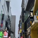 미영미용실 | 명동 미용실 추천 이철헤어커커 명동2호점 / 뿌리 매직 미영쌤 후기