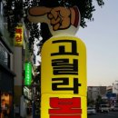 고릴라복싱 - 미추홀구 미추홀대로 577 | 고릴라복싱