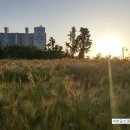 부개공원 이미지