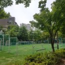 다목적구장 이미지