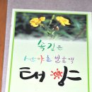 영암산야초