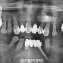 미켈란치과의원 이미지