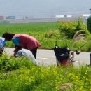 덕천3리 이미지