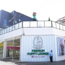 대구고양이분양 테디럽 이미지