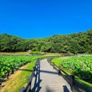 루나펜션민박 이미지