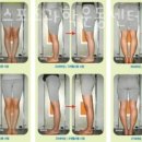 알파스포츠헬스 이미지