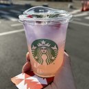 용진세탁소 | 직장인도 방학 주세요