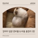 갓슬립케어 | [내돈내산] 강아지 입양 준비물 리스트 (2탄, 추천템)