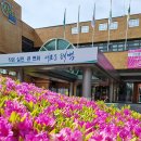 태백시다문화가족지원센터 이미지