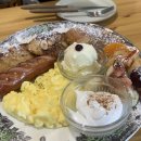 코코픽스 이미지