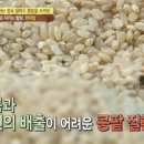 힐링요양병원 이미지