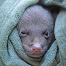 문화세탁 이미지