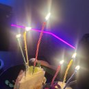 서귀포용이식당제주시청점 | 8월 3주차 / 하이디라오제주도점, 용이식당, 곱분이곱창, 마이도, 홍열이네, 주로, 베트남(무이네...