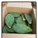 원농장1 이미지