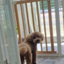 너와함개 이미지