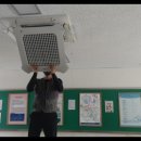 그린하우스 이미지