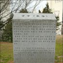 상록수 이미지