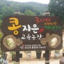 콩지은식품