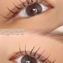 다린뷰티