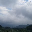 라온부동산중개사무소 이미지