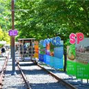 청도레일바이크 이미지