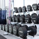 오가닉피티 회천점 이미지