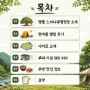 사랑나무 캠핑장 | [공지] 영월 느티나무캠핑장 | 키즈캠핑장, 계곡, 실내수영장, 사이트 리뷰, 계곡존14 솔직후기