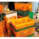 은파로지스 이미지