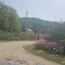 아5리_마을회관 이미지