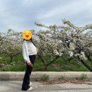 카페아낙466 이미지