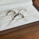 파비스팜 | w01. 새로운 출발, 결혼 준비 이야기💍