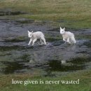 시간무늬 이미지