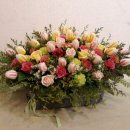 동남초등학교 병설유치원 이미지