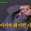 최재호 한방동물병원 이미지