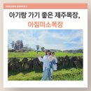 나래목장 | 제주 아기랑 갈만한 곳 추천｜공항 근처 무료 23개월 아침미소 목장 + 체험 후기