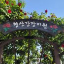 형산강 장미원 | 포항 장미공원 형산강장미원
