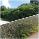 삼조농장 이미지