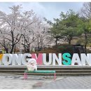 두물머리공원 이미지