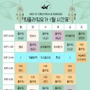 빈야사요가 초급반 이미지