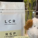 오공이 농장 | [원두 추천] 엘오공이커피로스터즈 RSP블랜드 원두 후기